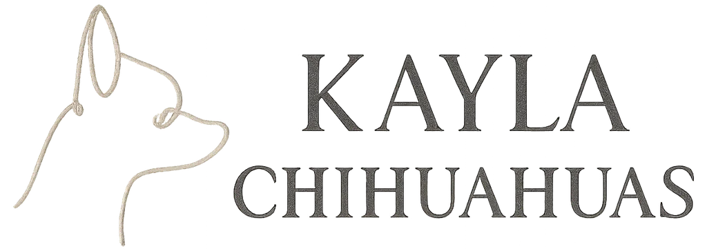 Kayla Chihuahuas